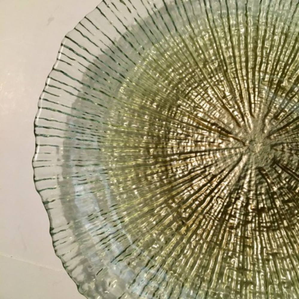 Lot 2 Akcam Seafoam Green Champagne Urchin 9" Salad Plates